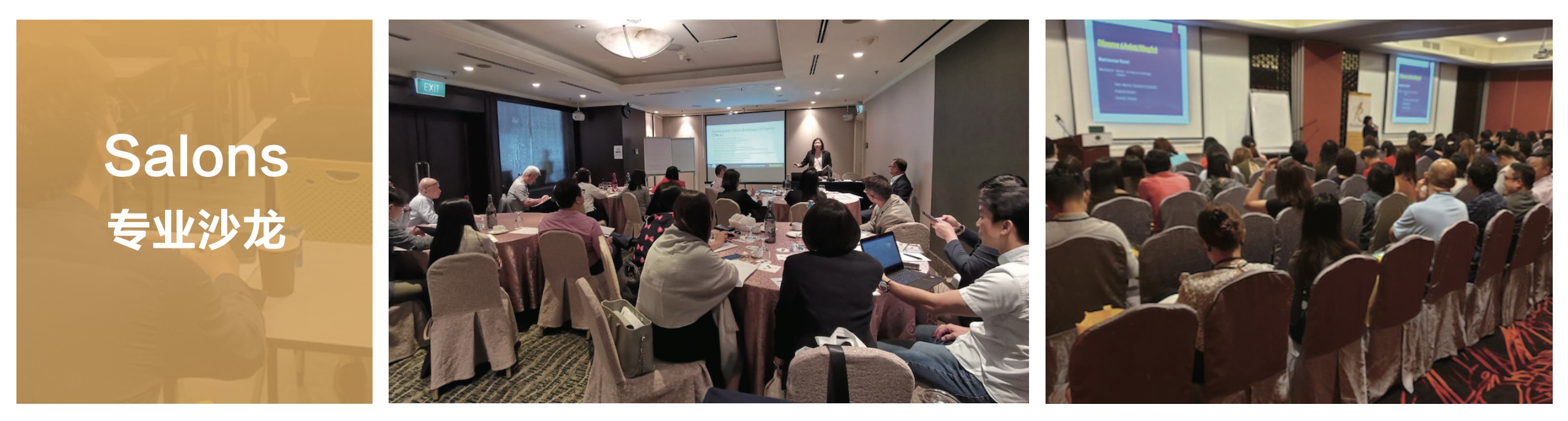 2-专业沙龙